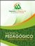 MODELO PEDAGÓGICO PLAN EDUCACIONAL 2019-2023